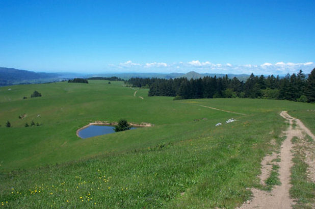 Bolinas Ridge Mountain Biking